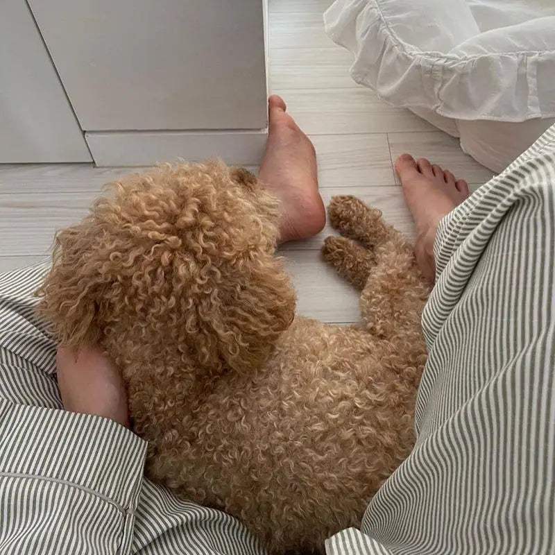 Kerrigan | Women's Trousers Softline Tailored Waist