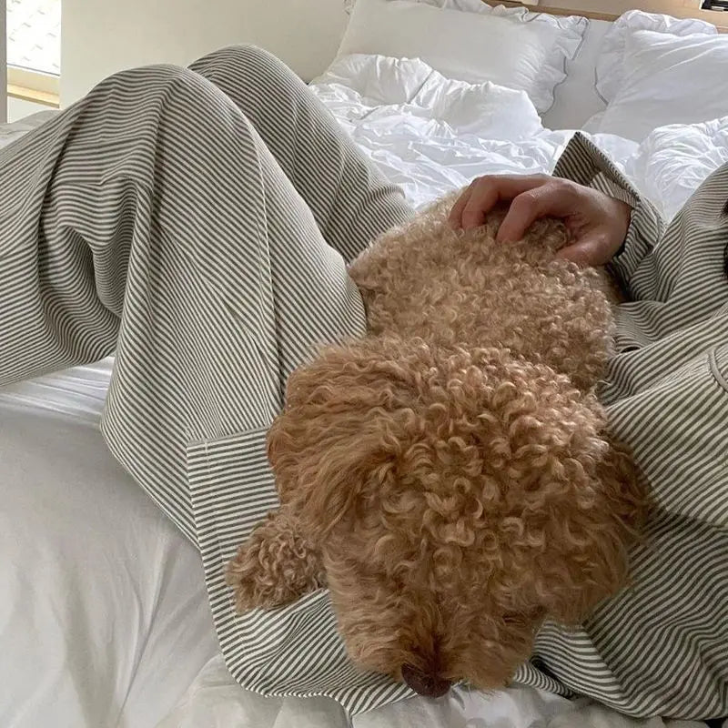 Kerrigan | Women's Trousers Softline Tailored Waist